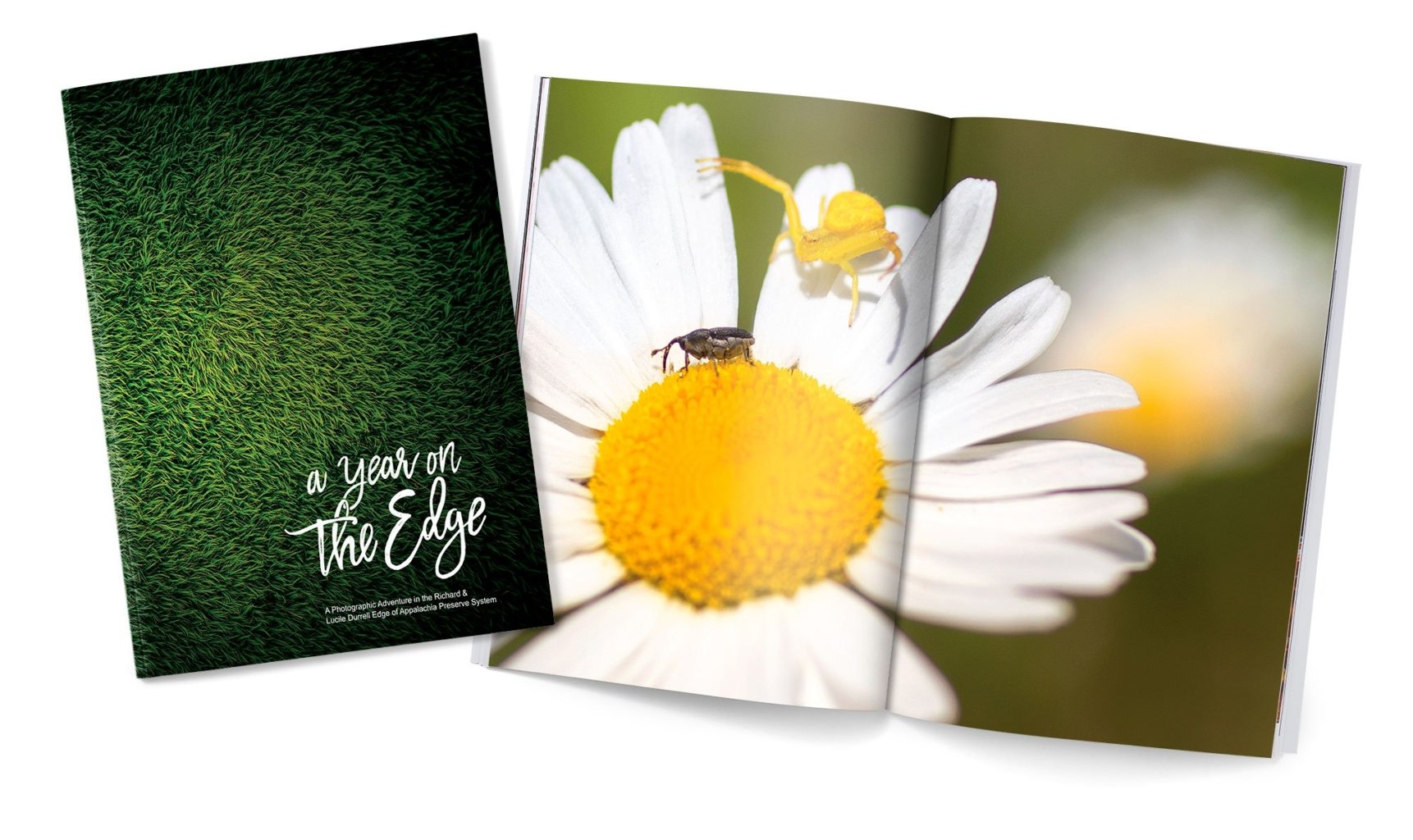 A year on the edge book cover and spread